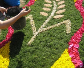 Corpus wheat stalk in floral blanket